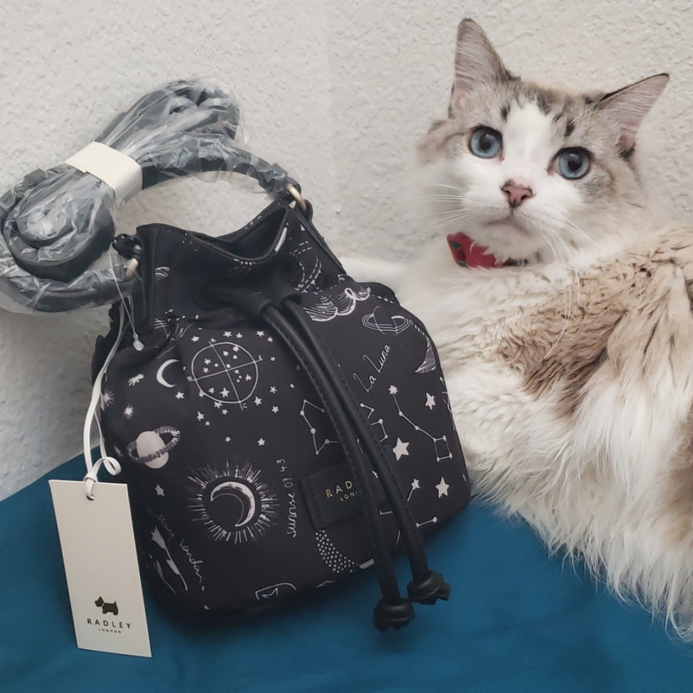 🌠NWT Cosmic Love Radley London Drawstring Bag🌠